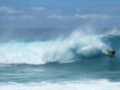 Surf sur les plages d'Hawaï